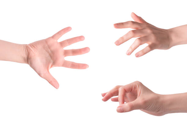 istock Woman hand isolated on a white background. 1455335841