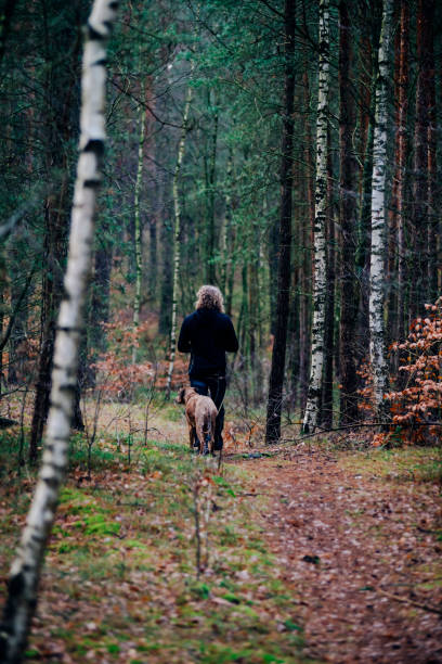 istock Man on a winter hike with a dog 1455336099
