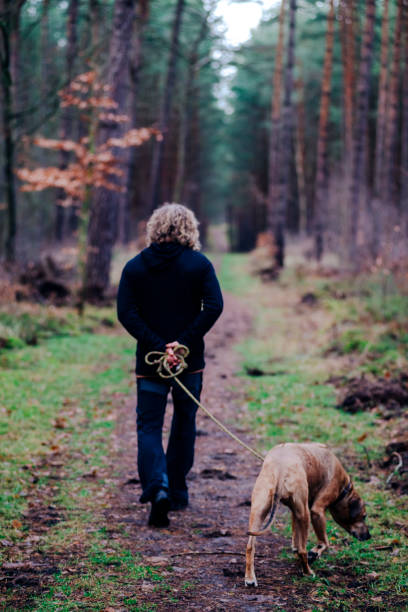 istock Man on a winter hike with a dog 1455336214