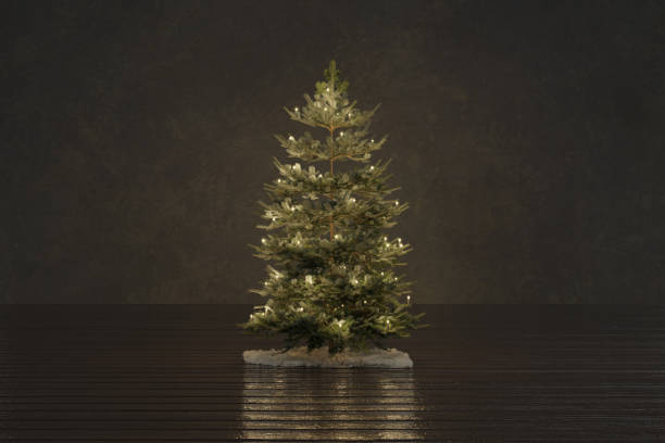 3D rendering of a Christmas tree decorated with candlelight standing in a brown room 3D rendering of a Christmas tree decorated with candlelight standing in a brown room abies amabilis stock pictures, royalty-free photos & images