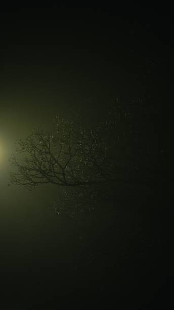 istock Vertical shot of branches of a tree at night 1455336439