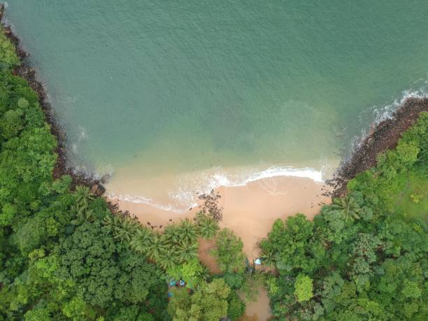 istock Aerial shot over a jungle beach 1455337927