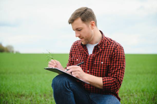 istock A young agronomist holds a folder in his hands on a green wheat field. A farmer makes notes on the background of agricultural land during sunset. Man in a cap with a folder of documents 1455341701