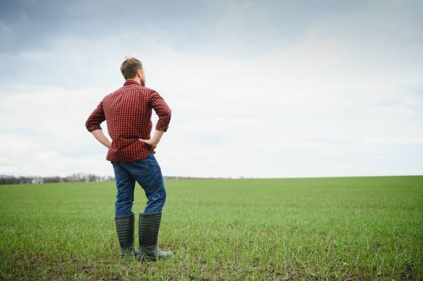 istock farmer works in the field. 1455341812