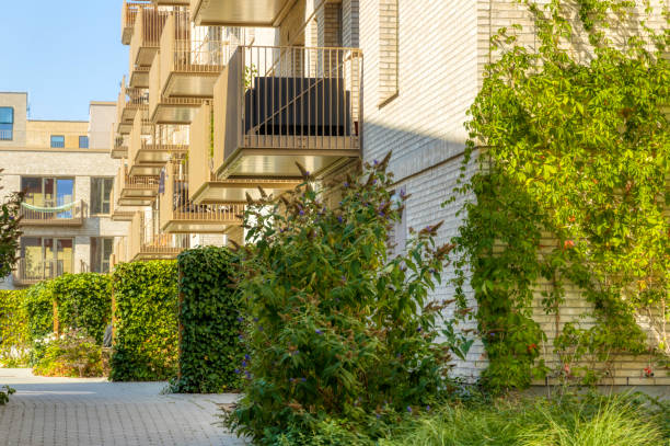 green backyards in residential areas on a sunny day