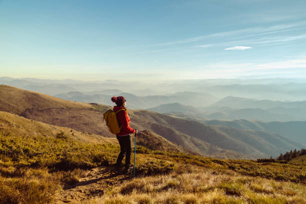 istock Female hiker enjoying the view from mountain peak 1455347099