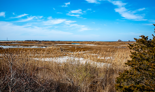 Views from the Shining Sea Bike Path of Great Sippewissett Marsh that follows Buzzards Bay on the western shore of Falmouth, MA on Cape Cod.  Tidal marshland and grasses offer beautiful views along this very popular pathway.