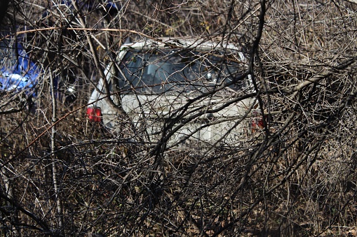 A white car behind branches in a forest