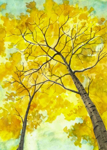 illustrations, cliparts, dessins animés et icônes de peinture à l’aquarelle de feuilles de chêne en automne. - autumn sun oak tree