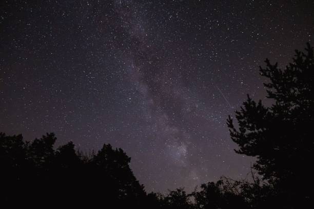 istock Beautiful view of the starry sky at night. 1455353167