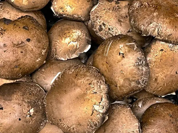 Portobello mushrooms at a market stand