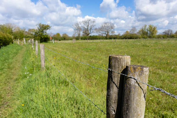 istock Fence with barb wire in the field in daylight 1455354605