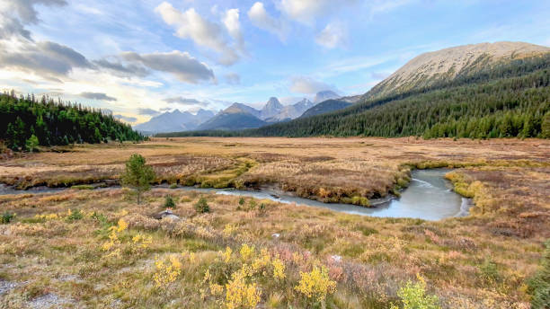 istock Spray Valley Provincial Park - Kananaskis Country, Alberta 1455357724