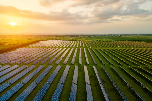 朝にクリーンな生態学的電気エネルギーを生成するための太陽光発電パネルが何列も並んでいる大型発電所の航空写真。ゼロエミッションコンセプトの再生可能電力。 - natural energy 写真 ストックフォトと画像