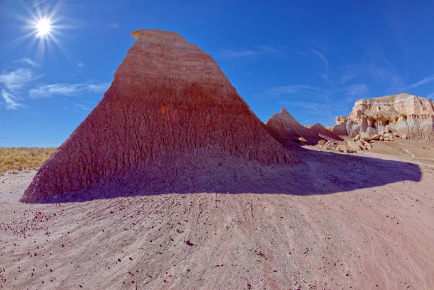 istock The Red Sphinx at Petrified Forest AZ 1455363828