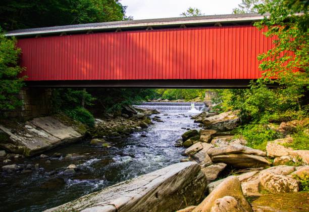 istock Red bridge over a river flowing through stones during the daytime 1455365101