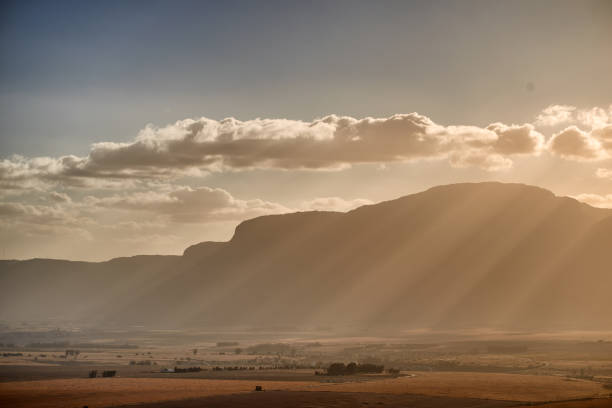 Farmland with mountains in the background north of Cape Town at sunset