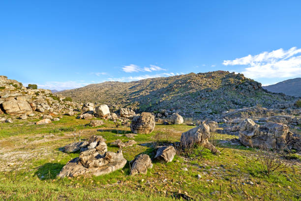 istock Cedarberg Wilderness Area  - South Africa 1455367217