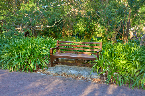 Woman in jeans sitting relaxing on a wooden bench in sunny forest during spring in Mill Mountain park in Roanoke, Virginia