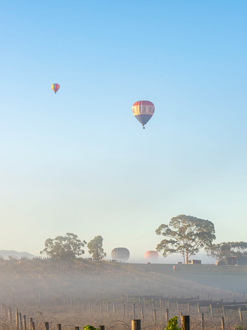 Hot air balloons at sunrise in the Yarra Valley