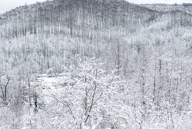 Surprise Snow Hits West Virginia in Late Fall.