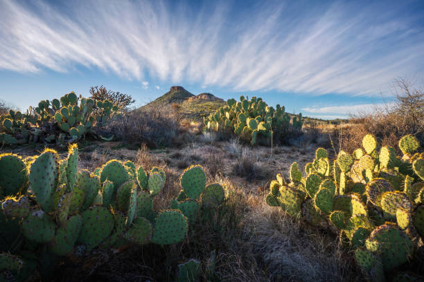 Interesting clouds stretch over Brown's Mountain in The McDowell Sonoran Preserve