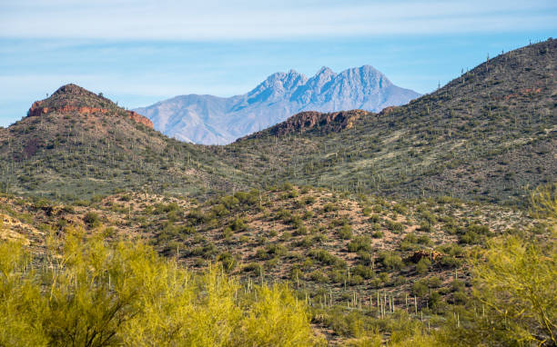 istock Four Peaks mountains range towers over Bulldog Canyon, AZ 1455380119