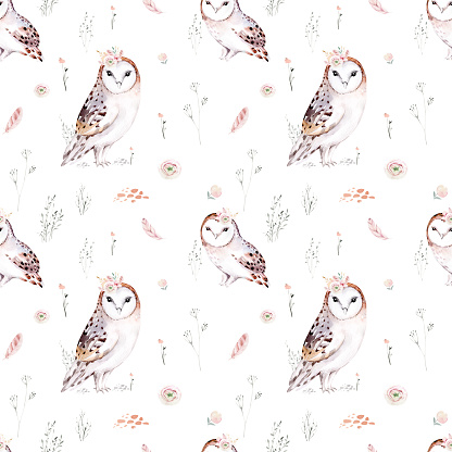 Woodland watercolor cute animals baby owl. Scandinavian owls on forest nursery poster design. Isolated charecter.
