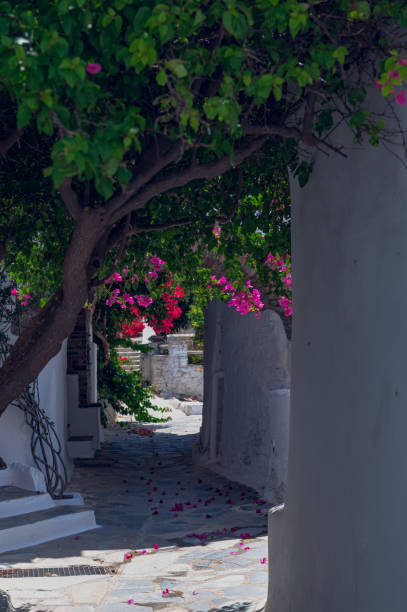 istock Streets at Tinos, Cyclades, Greece 1455385527
