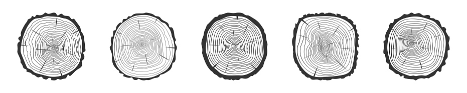 Tree rings icons set. Trunk cross section surface. Dendrochronology method to determine tree age. Wooden texture doodle stamps collection isolated on white background. Vector hand drawn illustration