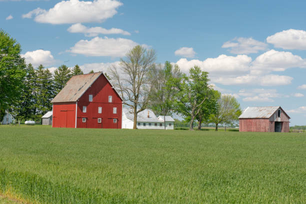 istock Red Barn and wheat field-Tipton County, Indiana 1455388525