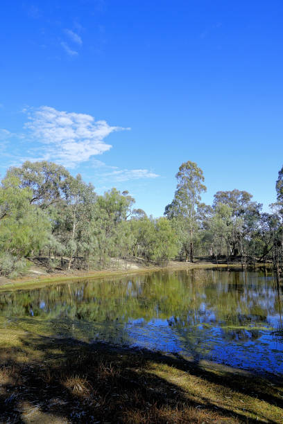 istock Euston,  New South Wales, Australia 1455389087