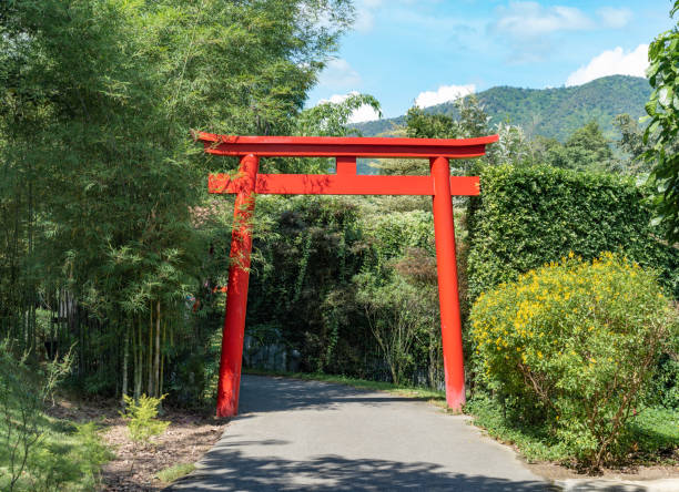 seul poteau rouge traditionnel spirituel japonais avec le bambou et l’autre arbre dans le jardin à midi. - shintoïsme photos et images de collection