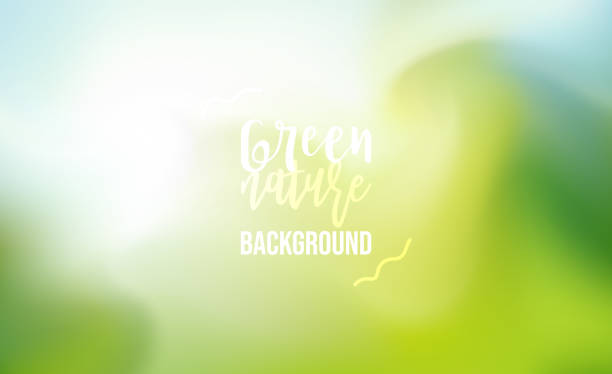 unscharfes grün färbt natur fließender hintergrund - green backgrounds internet banner stock-grafiken, -clipart, -cartoons und -symbole