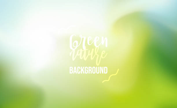 rozmyte zielone kolory natura płynne tło - green backgrounds internet banner stock illustrations