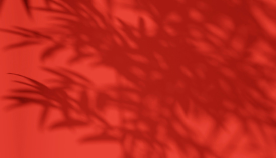3D Soft and beautiful foliage dappled light of bamboo tree leaf shadow on vibrant red wall background for elegant, luxury, Asian, Chinese new year, valentine nature product, interior design decoration display backdrop