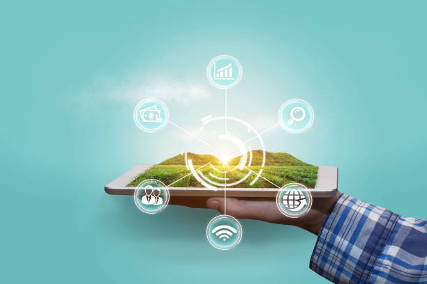 istock Innovation technology for smart farm system, Agriculture management, Hand holding smartphone with smart technology concept. farmer working in Sugarcane farm To collect data to study. 1455397155