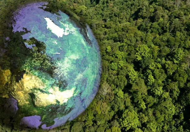 Photo of Atmospheric aerial view of the green forest with the earth Demonstrate the concept of preserving the top ecosystem and natural environment and Save Earth.