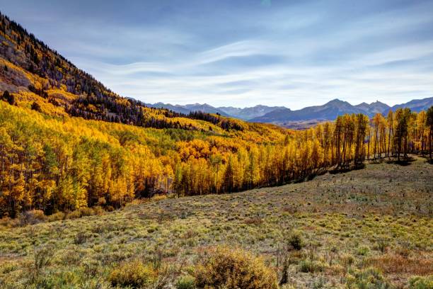 istock Telluride Colorado fall colors 1455397831