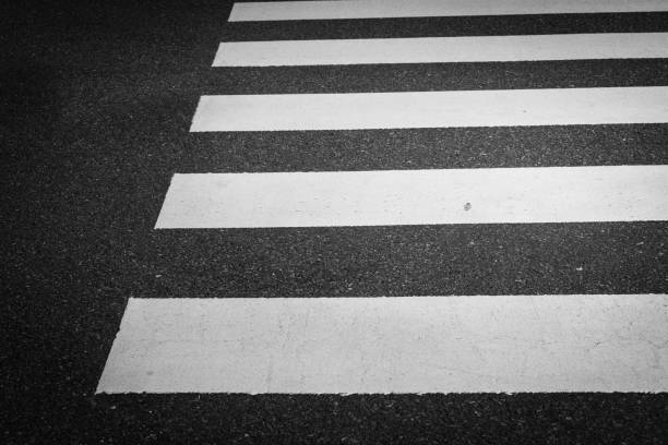istock Shibuya intersection. Road sign. 1455398023