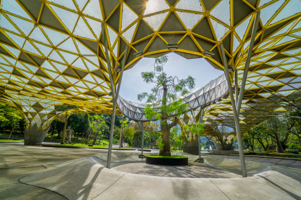 istock wide Angle View Of Trees And Buildings Against Sky 1455398203
