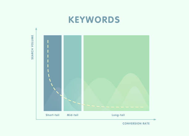 ilustrações de stock, clip art, desenhos animados e ícones de seo keywords research and analysis illustration - comparing the conversion of short-tail, medium and long-tail keywords and their ratio in the entire search volume. - tail long marketing internet