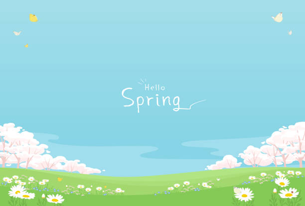 frühling blumen hintergrund mit textfreiraum. - kirschbaum stock-grafiken, -clipart, -cartoons und -symbole