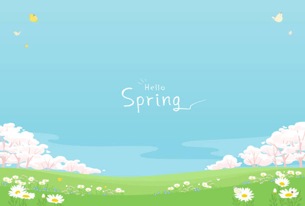 Spring flowers background with copy space. Vector illustration of pink cherry blossom tree and sunny sky landscape. cherry blossom trees park stock illustrations
