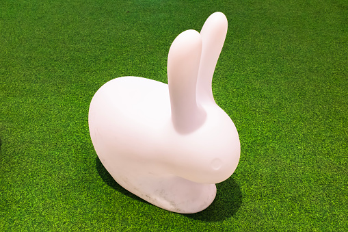 White rabbit and grass