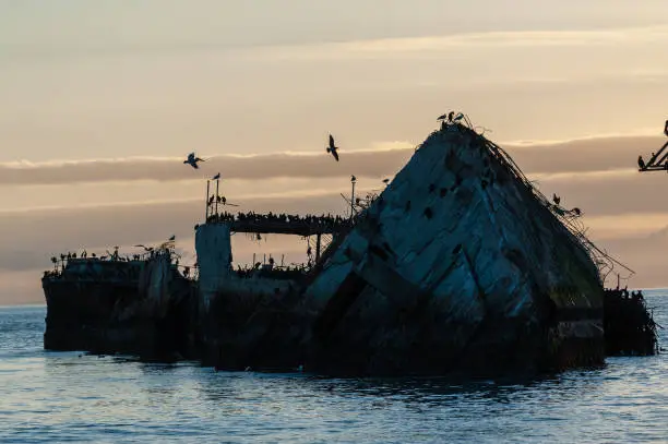 Close-up of the SS Palo Alto, an old World War II shipwreck off the coast of Aptos, Californa