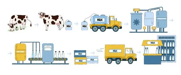 Vector illustration of Milk manufacturing process. Dairy products processing line, way from farm milk collection to factory and store vector Illustration