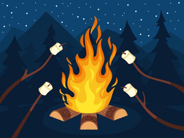ilustrações, clipart, desenhos animados e ícones de fogueira com marshmallow. comida de acampamento escoteiro, marshmallows em pau no fogo e amigos viagem campfire noite ilustração vetorial dos desenhos animados - roasted