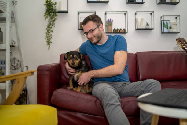 istock Young person with dog at home leisure 1455421476