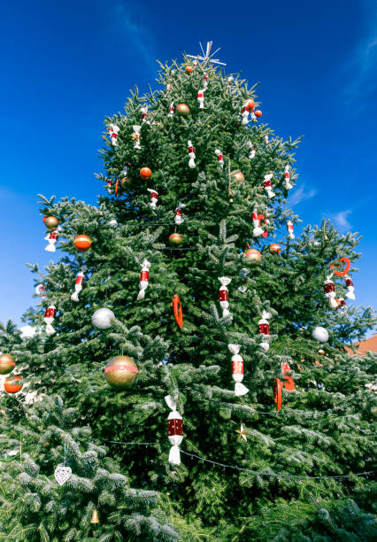 istock Christmas tree outdoor at blue sky 1455423899